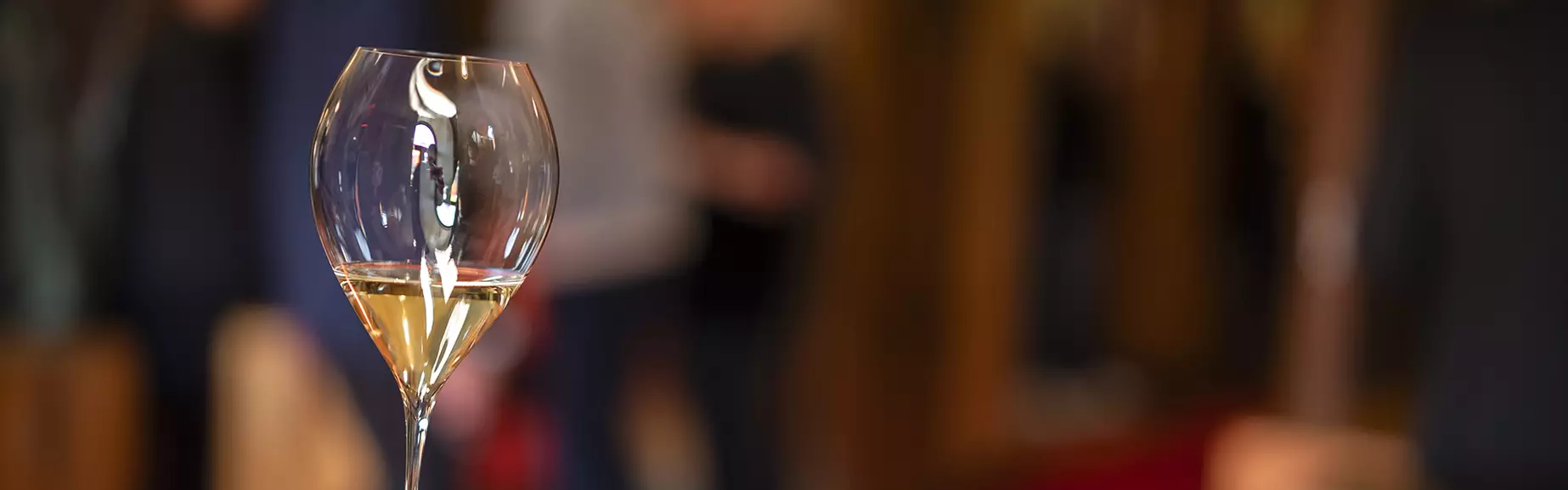 Osta liput master class -luennoille 113